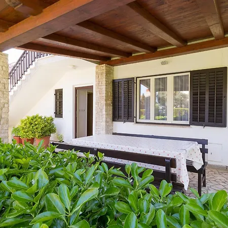 Comfortable With Terrace And Garden